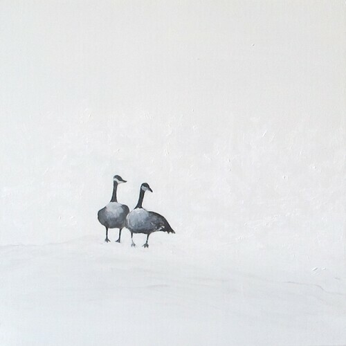 Geese on White