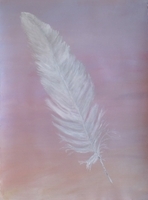 White Feather